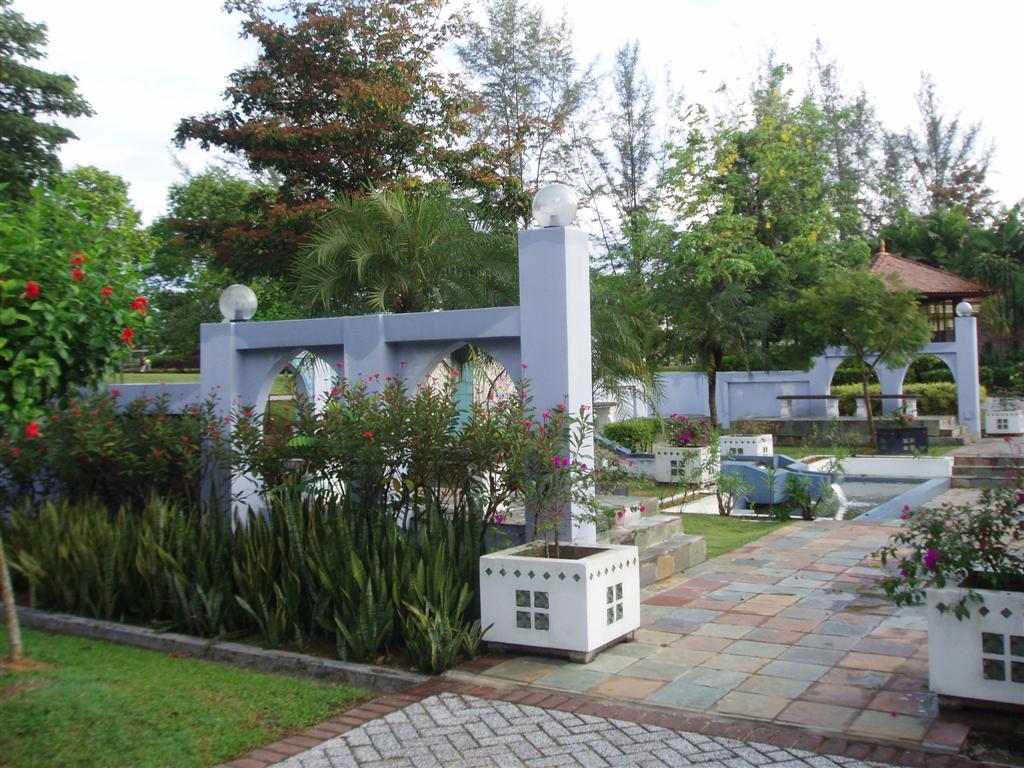 [P1017169+(Large).JPG]