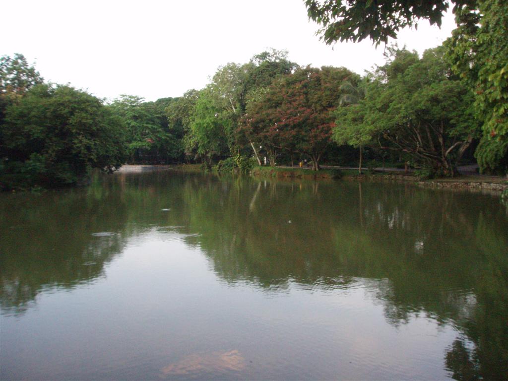 [P1017133+(Large).JPG]