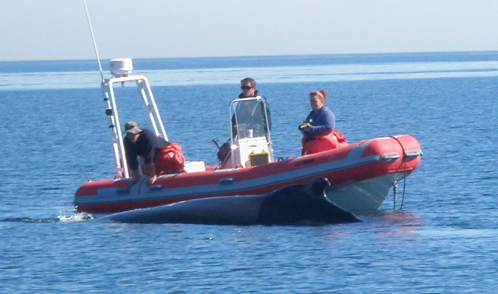[P9180017.JPG]