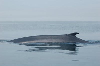 [DSC_0477.jpg]