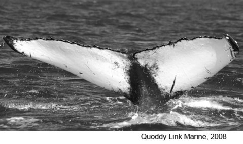 [Si6c07f2_08qlm.jpg]