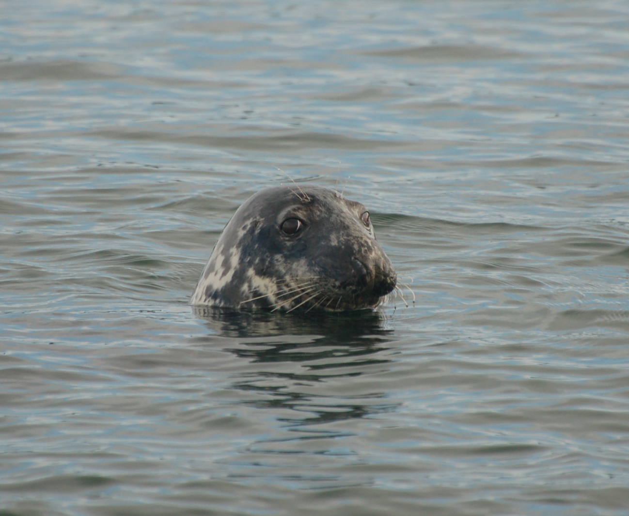 [DSC_7184.JPG]