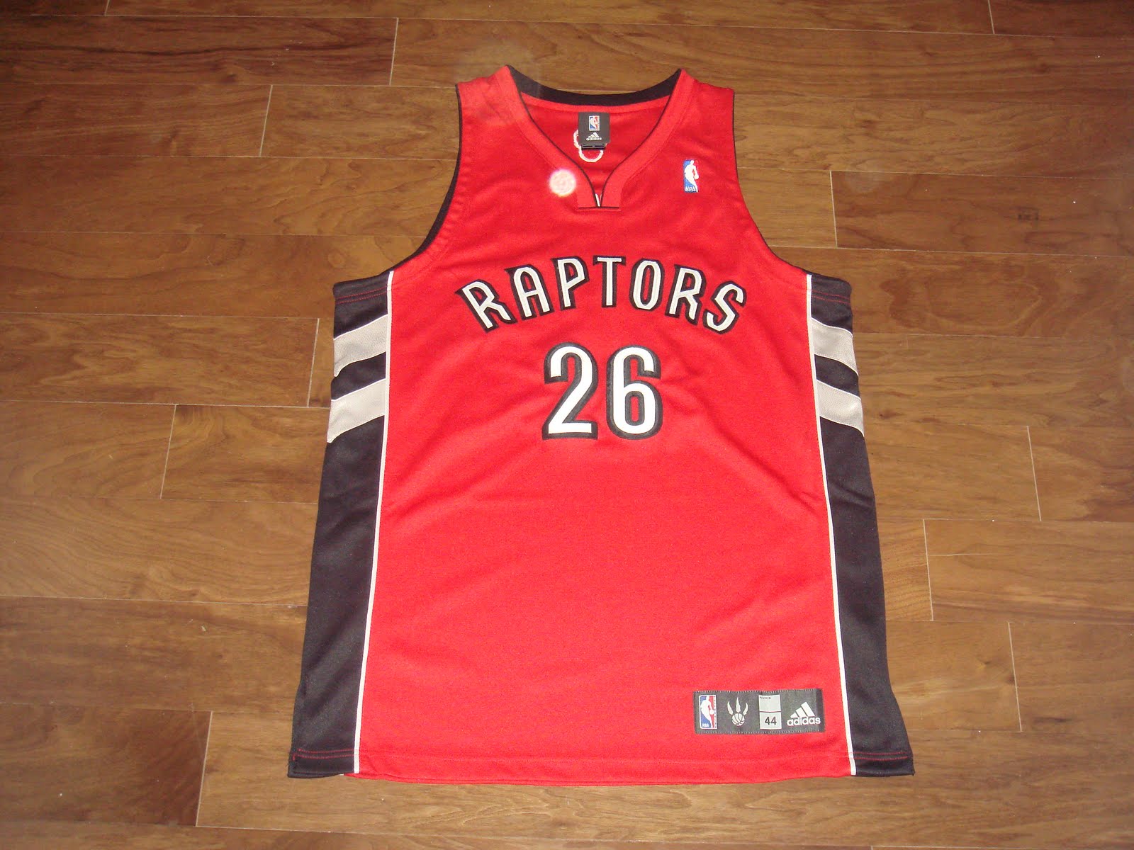 [Toronto+Raptors+Hedo_arka.JPG]