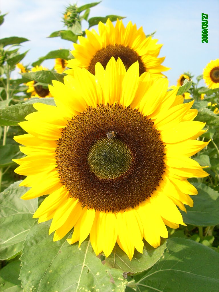 [IMG_3716.JPG]