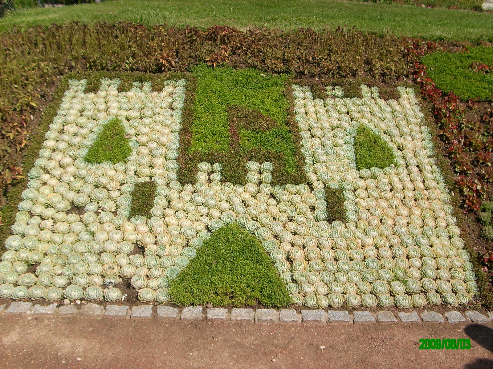 [IMG_3175.JPG]