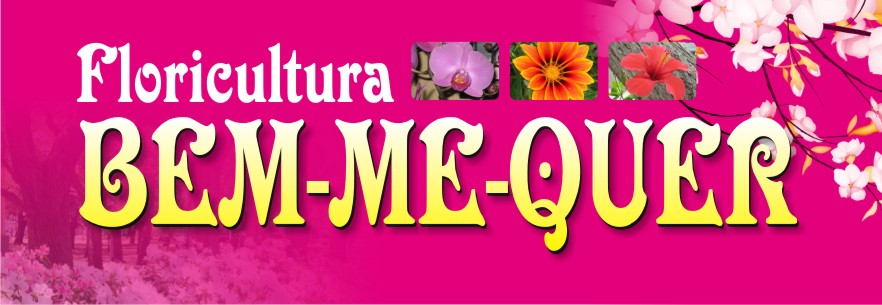 FLORICULTURA BEM-ME-QUER