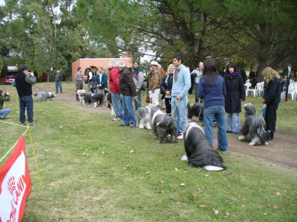 ejemplares participantes