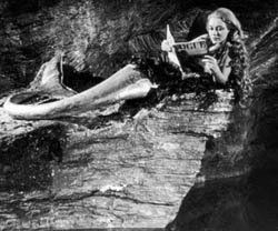 Laura's Miscellaneous Musings: ...