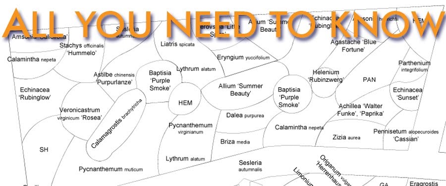 grounded design by Thomas Rainer: All You Need to Know