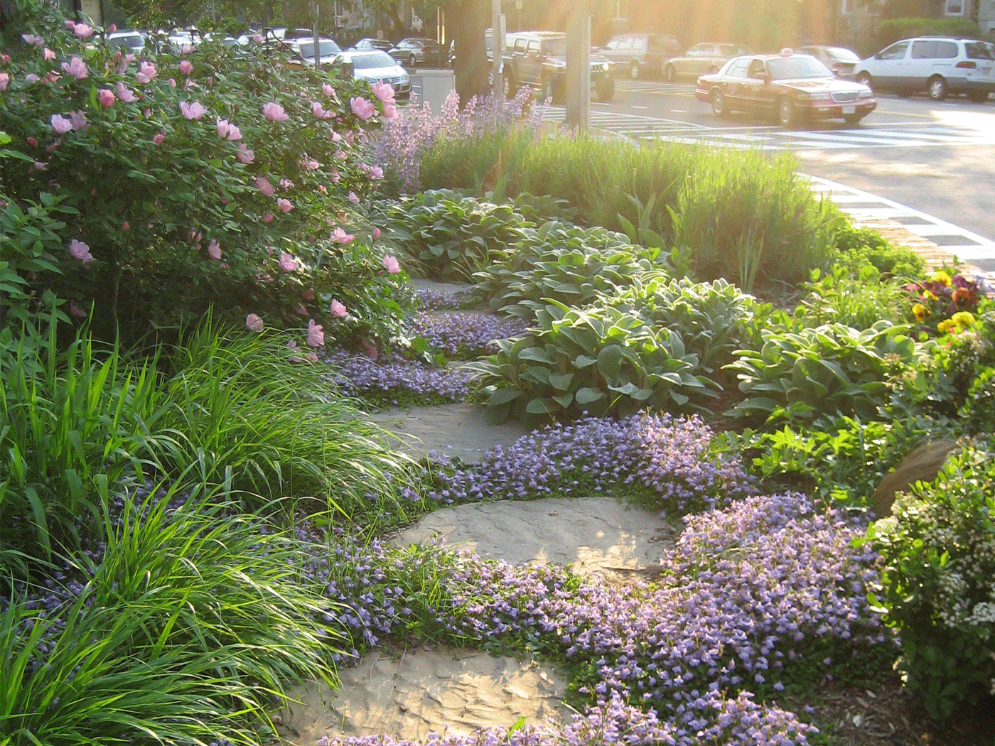 grounded design by Thomas Rainer: Garden Featured in the ...