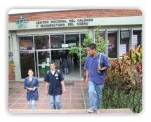Gestion del Entorno