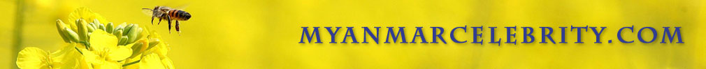 Myanmar Popular Actress Photos