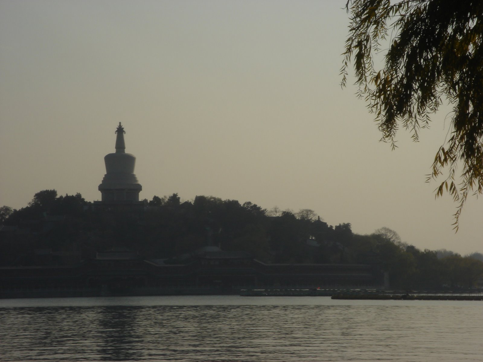 [DSC04980.JPG]