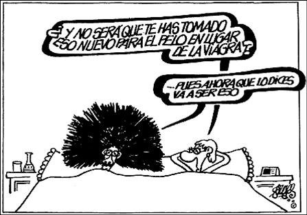 [Imagen1.jpg]