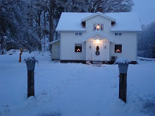 Snön lyser vit på taken...