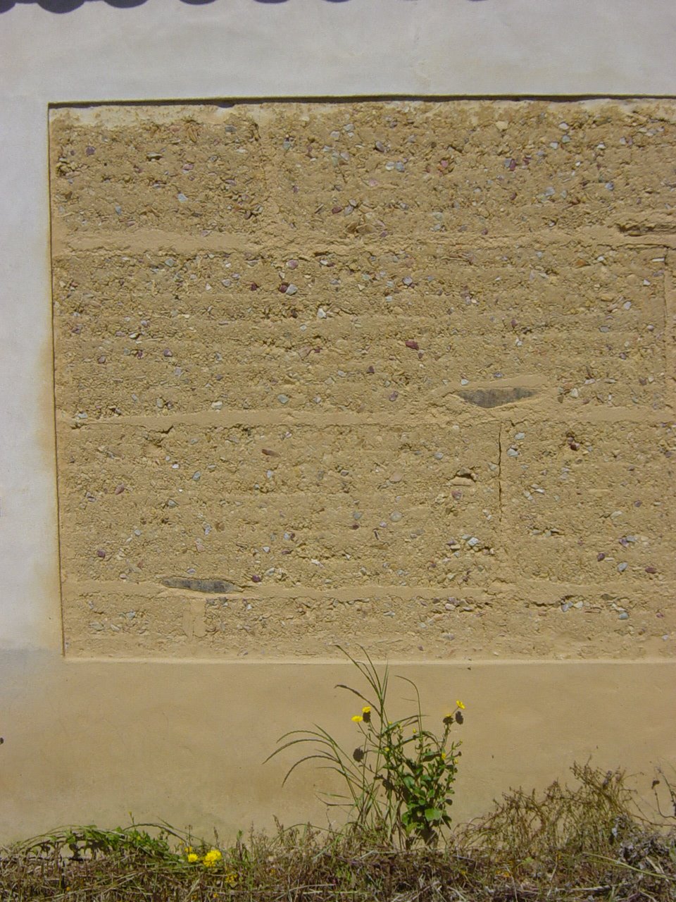 [DSC00697.JPG]