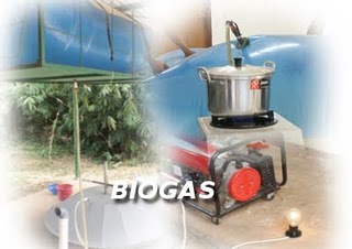 [2010.02.34.biogas.jpeg]