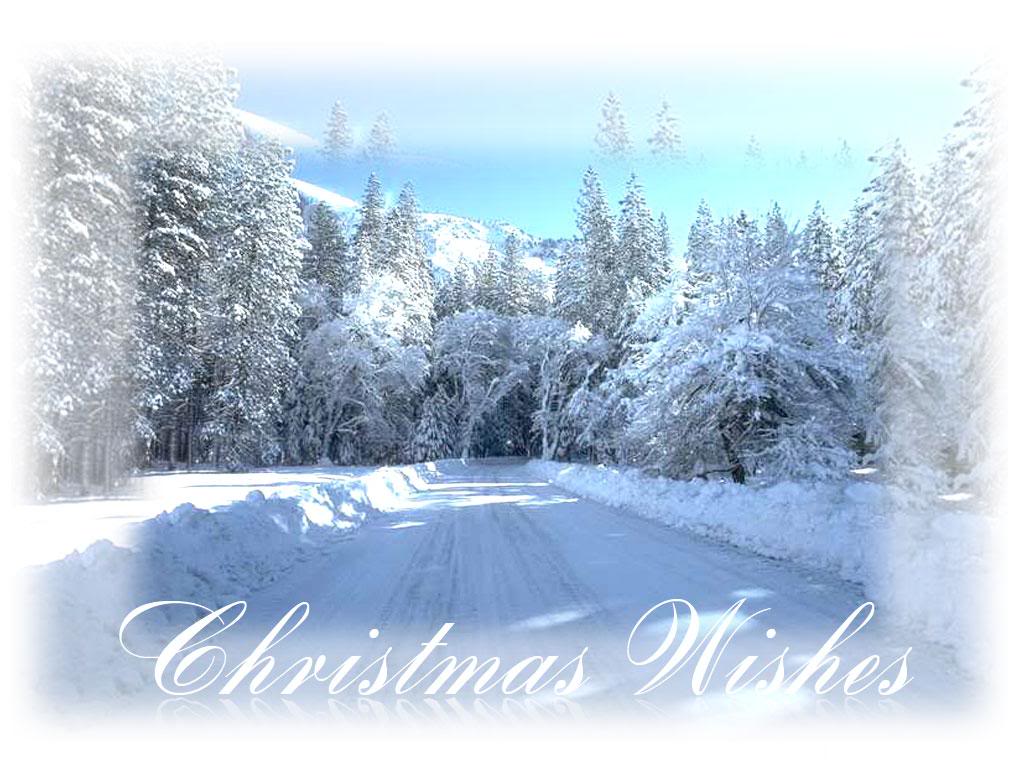 High Definition Photo And Wallpapers white christmas wallpapers,white