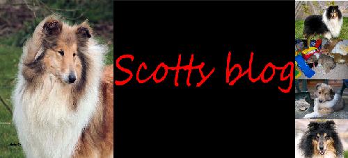 Scott's blog