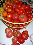 Hope Farms Tomatoes