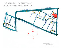 Winter Fallen Fruit Map Northwest Altadena