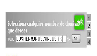 selecciona cualquier nombre de dominio que desees