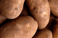[1Potato.jpg]