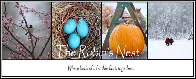 ROBIN'S NEST