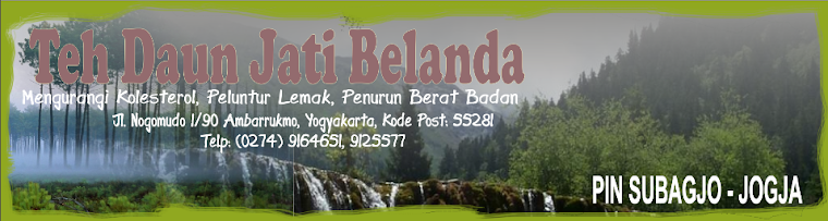 Daun Jati Belanda