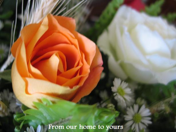 [12junflowers+007home.JPG]