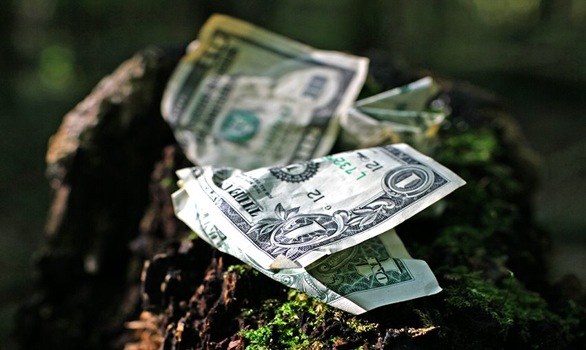 [DOLLARS+FALL.jpg]