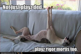 rigor mortis wolf funny lydecker sarah dead play sized built frame dog