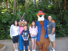 Splash Mountain Friends