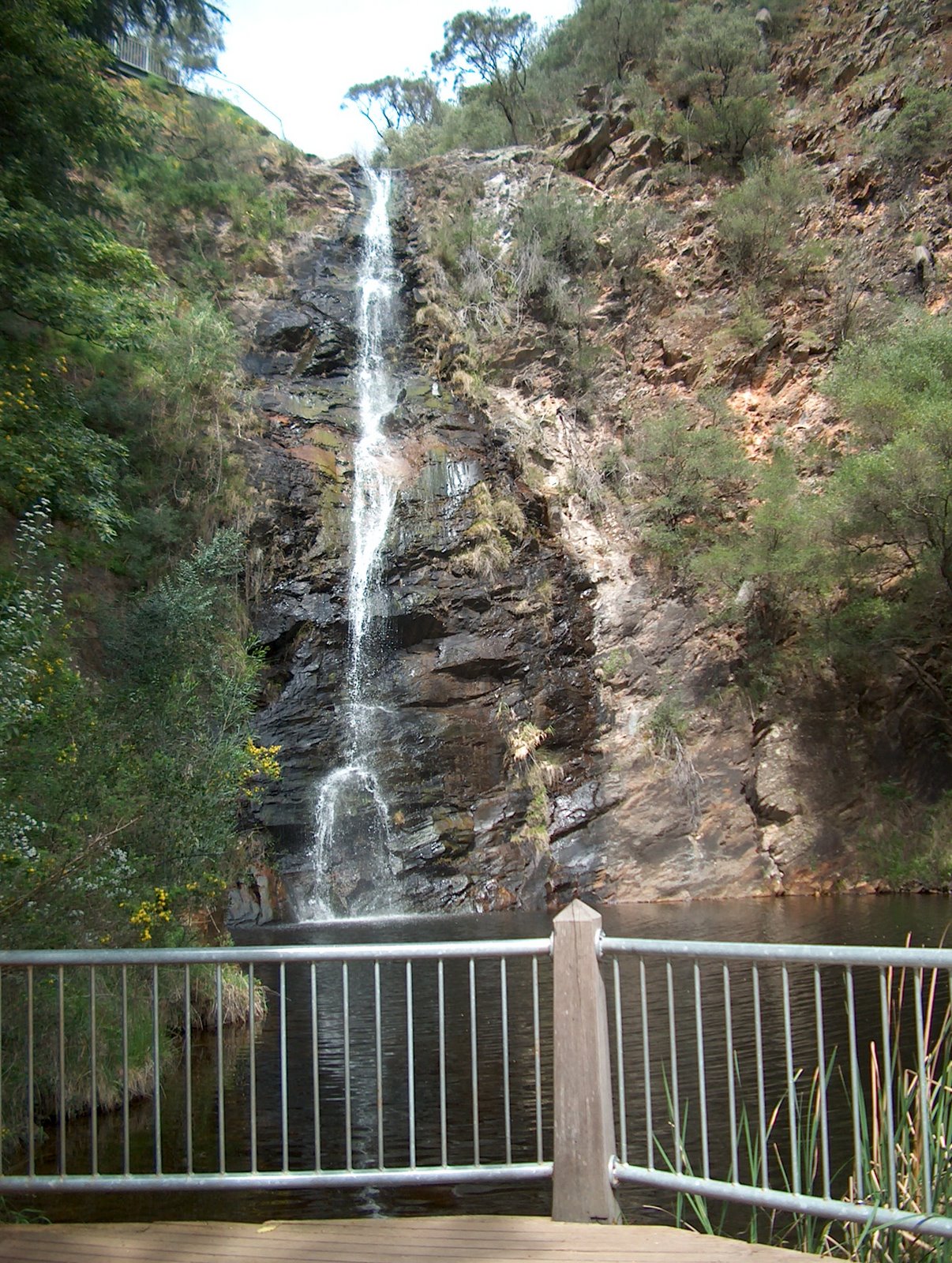 [HPIM0833.JPG]