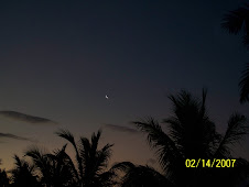 Día de los enamorados-Valentine 2007