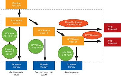 Hcv Rna