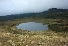 LAGUNA DE GUANACAS