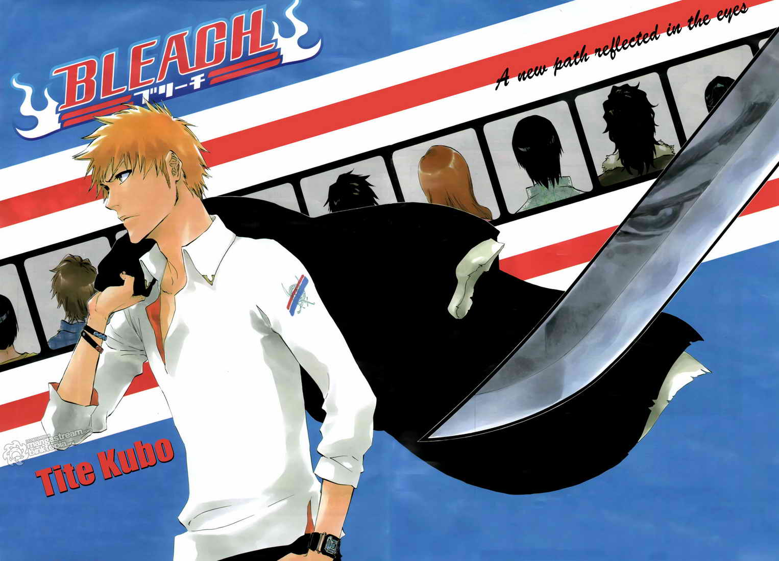 Bleach Time Skip
