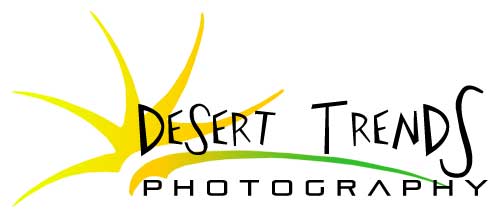 Desert Trends Photography - Mesa AZ