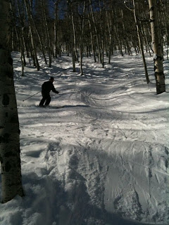 Beaver Creek again. Subzero temperatures and lots of icy slopes. We did manage to find some good snow however in Thrasher Glade on the main face. Picture by David Barton.