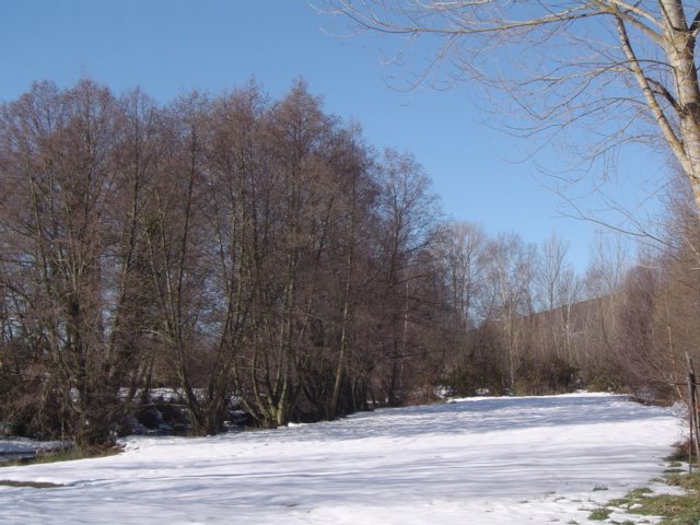 [DSC06291.JPG]