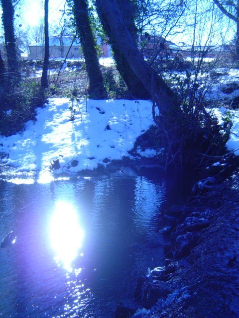 [DSC06303.JPG]