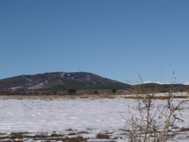 [DSC06311.JPG]