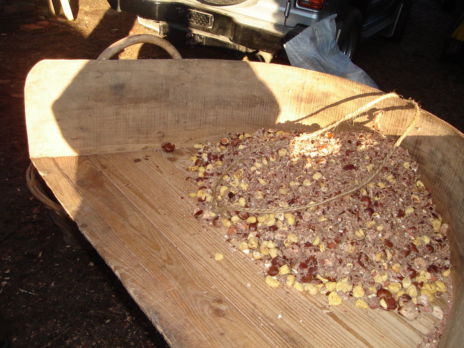 [4-tras-abandoxado.JPG]