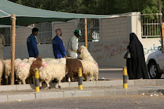Sheep Stalls at the Friday Market