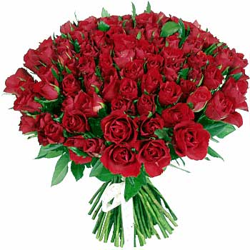 [80-rosas.jpg]