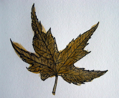 EDM #34 - Draw a fall leaf