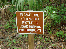 like a lover, who leaves nothing but footprints all over the heart