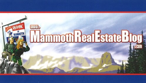 The VRBO Phenomenon, and Where