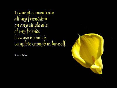 friendship quotes with flowers. quotes on friendship and